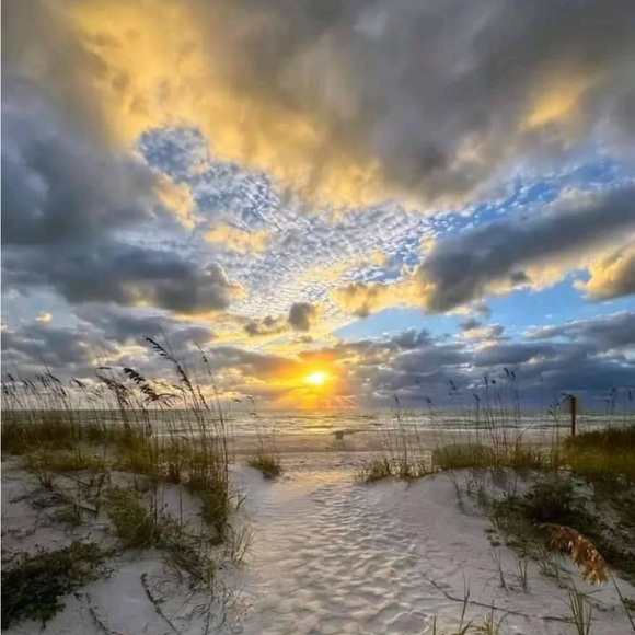 OPEN ME‼️ My Happy Place is in Florida & Making Sales on Poshmark! - Picture 4 of 14